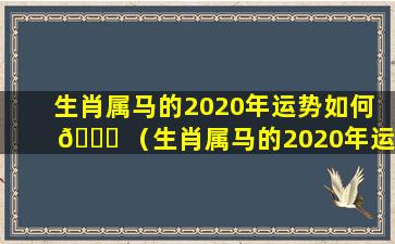 生肖属马的2020年运势如何 🐘 （生肖属马的2020年运 🦟 势如何呢）